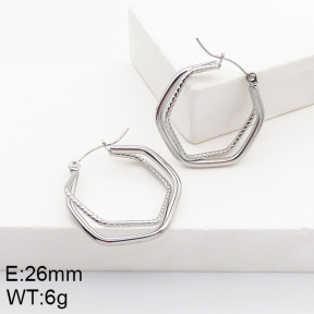 Stainless Steel Earrings  5E2002771aaho-740