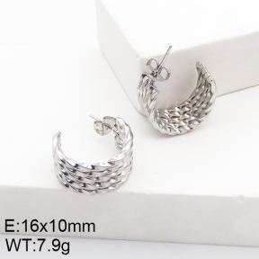 Stainless Steel Earrings  5E2002772vaii-740