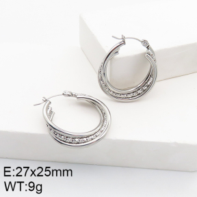 Stainless Steel Earrings  5E2002773aaho-740