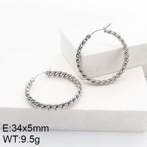 Stainless Steel Earrings  5E2002775aaij-740