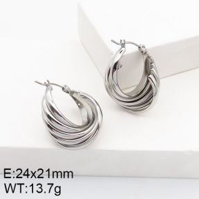 Stainless Steel Earrings  5E2002776vaii-740