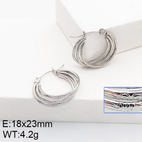 Stainless Steel Earrings  5E2002777aaho-740