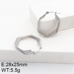 Stainless Steel Earrings  5E2002778aaho-740