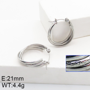 Stainless Steel Earrings  5E2002779aaho-740