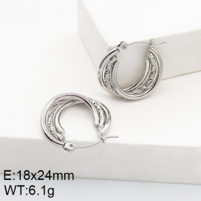 Stainless Steel Earrings  5E2002780aaho-740
