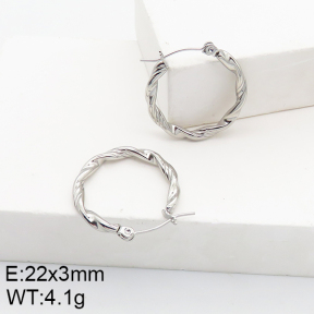 Stainless Steel Earrings  5E2002781aahn-740