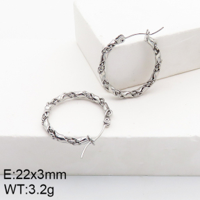 Stainless Steel Earrings  5E2002782vaia-740