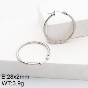 Stainless Steel Earrings  5E2002783aahi-740