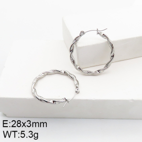 Stainless Steel Earrings  5E2002785aahn-740