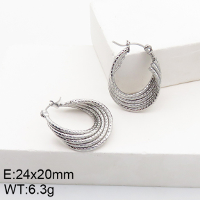Stainless Steel Earrings  5E2002787vaii-740
