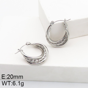 Stainless Steel Earrings  5E2002788aaho-740