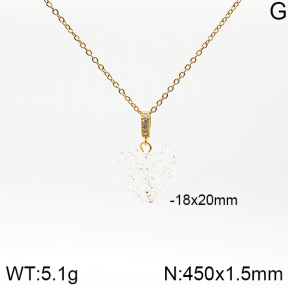 Stainless Steel Necklace  5N4001719aakl-731