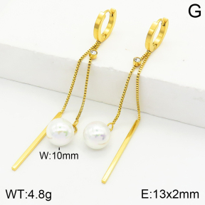 Stainless Steel Earrings  2E3001598vhha-743