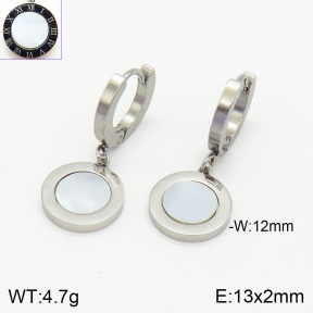 Stainless Steel Earrings  2E3001599vbpb-743