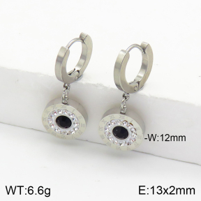 Stainless Steel Earrings  2E4002558vhha-743