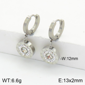 Stainless Steel Earrings  2E4002559vhha-743