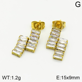 Stainless Steel Earrings  2E4002563vbnl-743