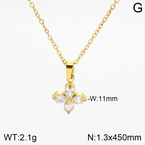 Stainless Steel Necklace  2N4002125vbnl-355