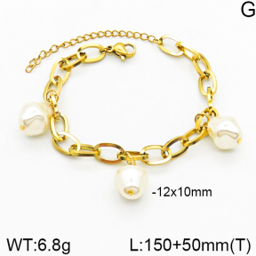 Stainless Steel Bracelet  5B3001385ablb-698