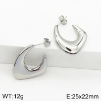 Stainless Steel Earrings  Handmade Polished  2E2002419vbpb-066
