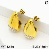 Stainless Steel Earrings  Czech Stones,Handmade Polished  2E4002572bhia-066
