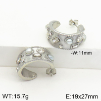 Stainless Steel Earrings  Czech Stones & Zircon & Plastic Imitation Pearls,Handmade Polished  2E4002575bhva-066