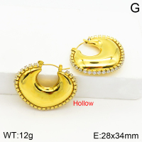 Stainless Steel Earrings  Zircon,Handmade Polished  2E4002577vhmv-066