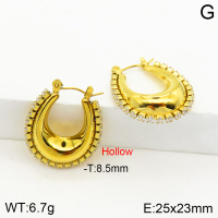 Stainless Steel Earrings  Zircon,Handmade Polished  2E4002580vhmv-066