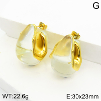 Stainless Steel Earrings  Resin ,Handmade Polished  2E4002583bhia-066