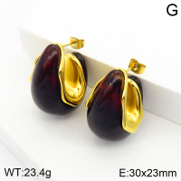 Stainless Steel Earrings  Resin ,Handmade Polished  2E4002586bhia-066