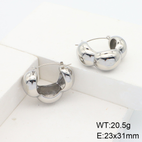 Stainless Steel Earrings  Handmade Polished  6E2006291bhia-066