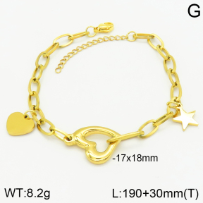Stainless Steel Anklets  2B2002184vbpb-733