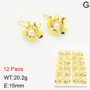 Stainless Steel Earrings  2E3001602bihm-472