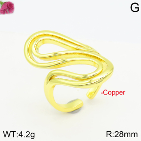 Fashion Copper Ring  F2R200101vbnb-J111