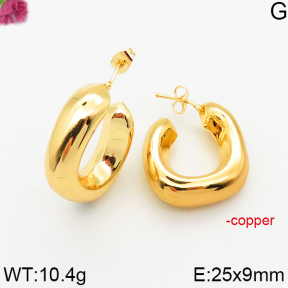 Fashion Copper Earrings  F5E200447vbpb-J163
