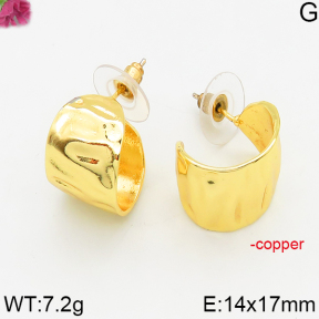 Fashion Copper Earrings  F5E200448bbmi-J163
