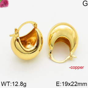Fashion Copper Earrings  F5E200452vbnb-J163