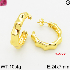 Fashion Copper Earrings  F5E200453bbmi-J163