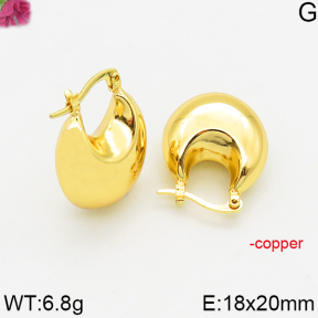 Fashion Copper Earrings  F5E200456bbno-J163
