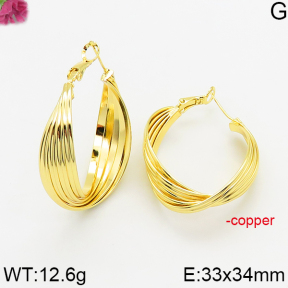 Fashion Copper Earrings  F5E200460vbnb-J163