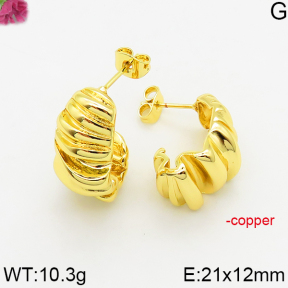 Fashion Copper Earrings  F5E200463bbmi-J163