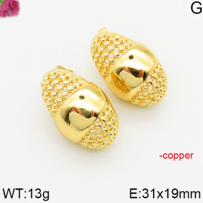 Fashion Copper Earrings  F5E200468vbnb-J163