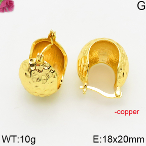 Fashion Copper Earrings  F5E200471vbll-J163