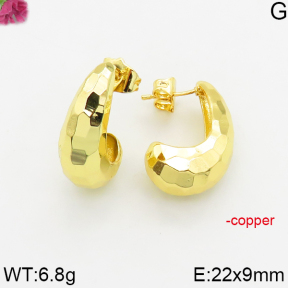 Fashion Copper Earrings  F5E200473bbov-J163