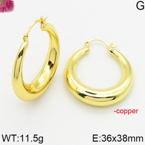 Fashion Copper Earrings  F5E200475vbpb-J163