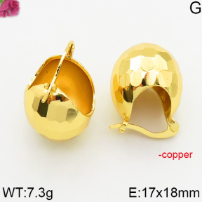 Fashion Copper Earrings  F5E200476bhva-J163