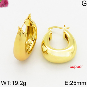 Fashion Copper Earrings  F5E200481vbnb-J163