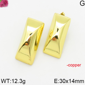 Fashion Copper Earrings  F5E200486bbmi-J163