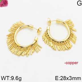 Fashion Copper Earrings  F5E200487abol-J163
