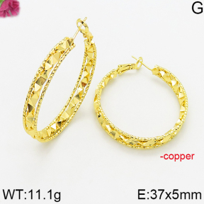Fashion Copper Earrings  F5E200488bbmi-J163